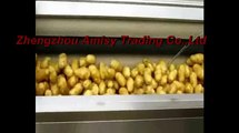 Potato Washing and Peeling Machine, Vegetable Washer and Peeler