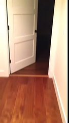 Je crois que c'est le moment de changer les oreillers