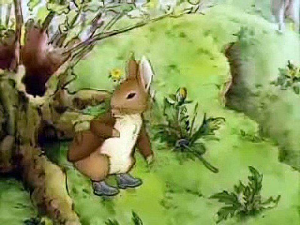 Peter Rabbit 3
