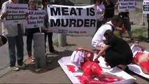 PETA's human meat tray protest at Toronto's Quality Meat Packers' pig slaughterhouse