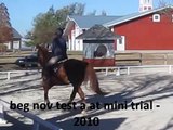 doc video - for sale - jumping and dressage training