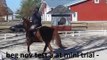 doc video - for sale - jumping and dressage training