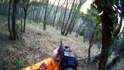 Chasse gros gibier.21/12/2014.