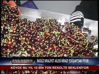Andırın Çıgşar kirazı Dünyaya Açıldı....