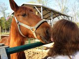 Killpen Horses get a Second Chance at Life