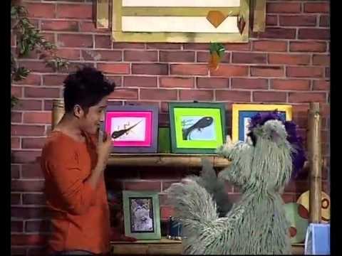 Jalan Sesama: Di Mana Ikan Jabrik? - bagian 2 (bersama Irfan Hakim)