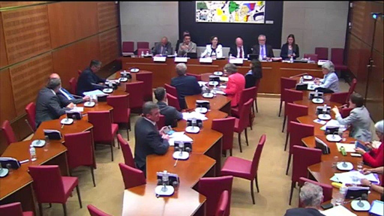 Mon intervention en Commission des Affaires Economiques lors de la table ronde sur l'Intelligence Economique