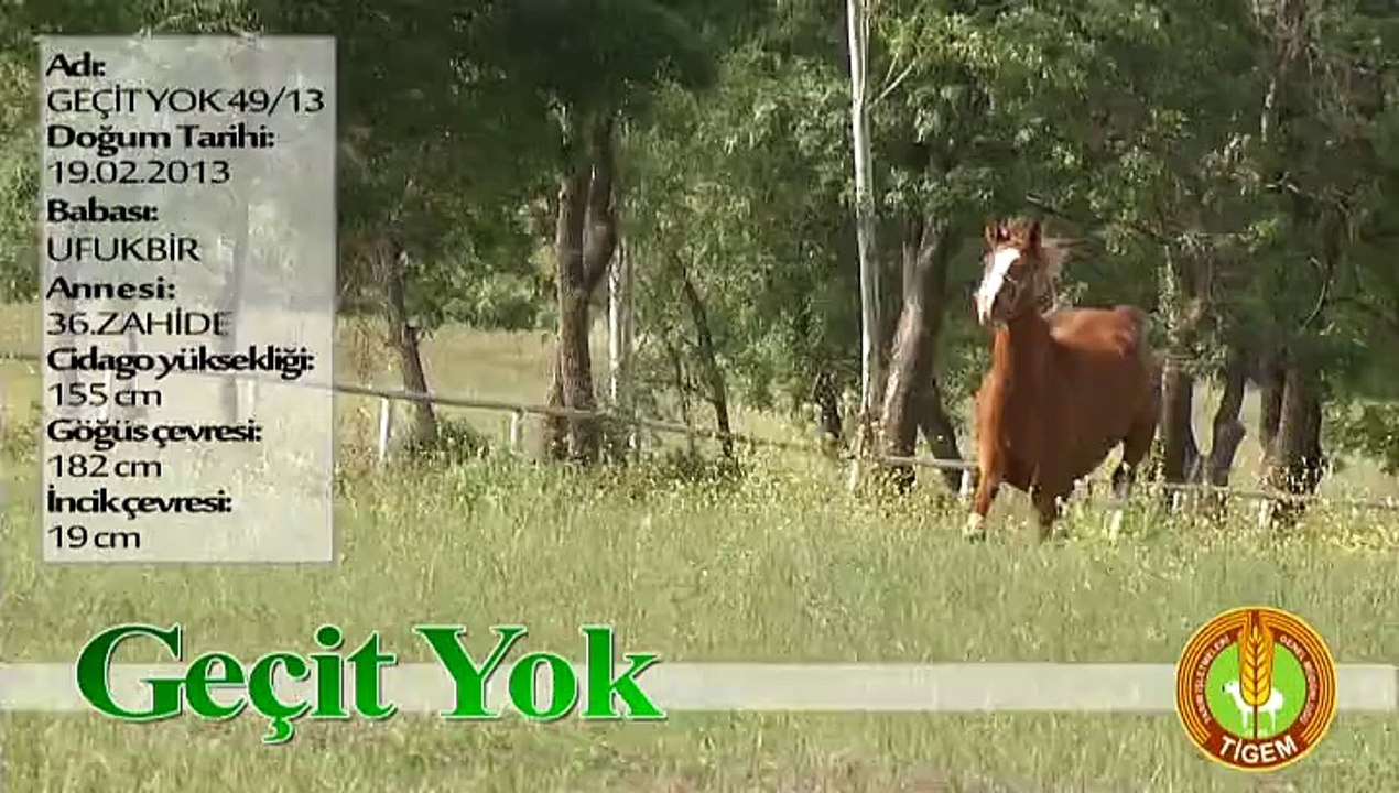 GEÇİT YOK