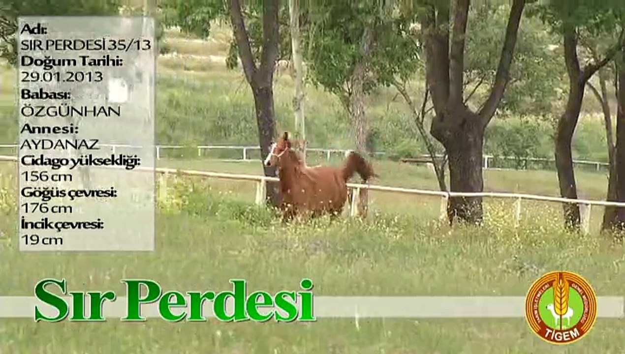 SIR PERDESİ