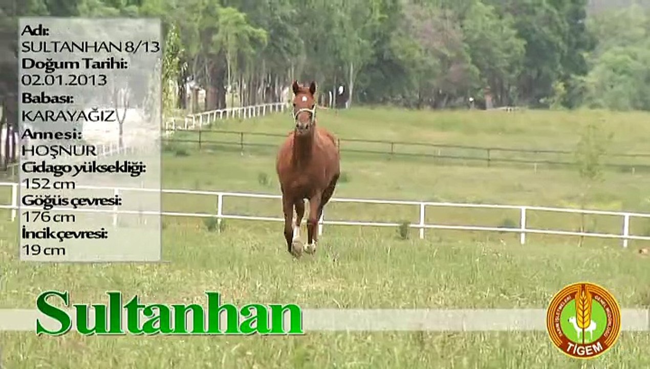 SULTANHAN