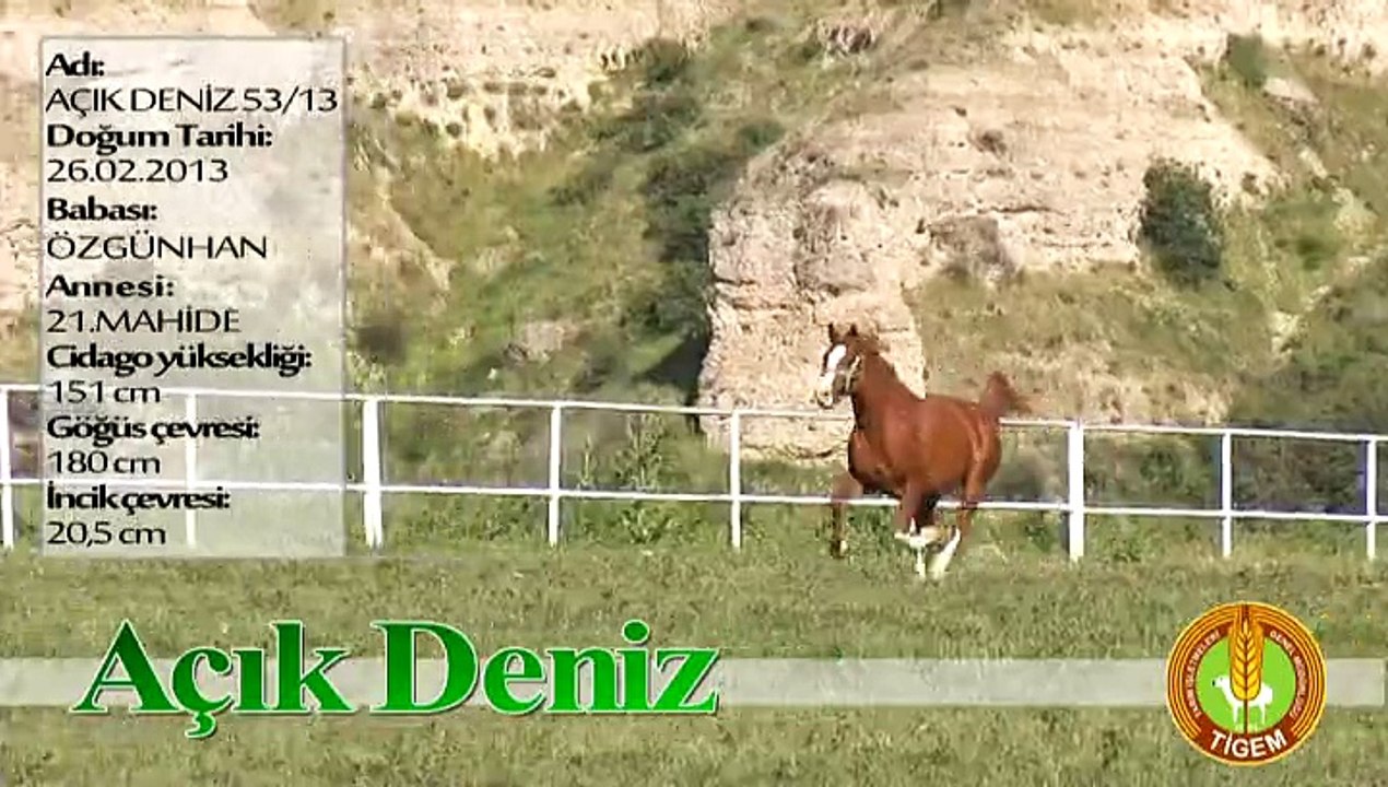 AÇIK DENİZ