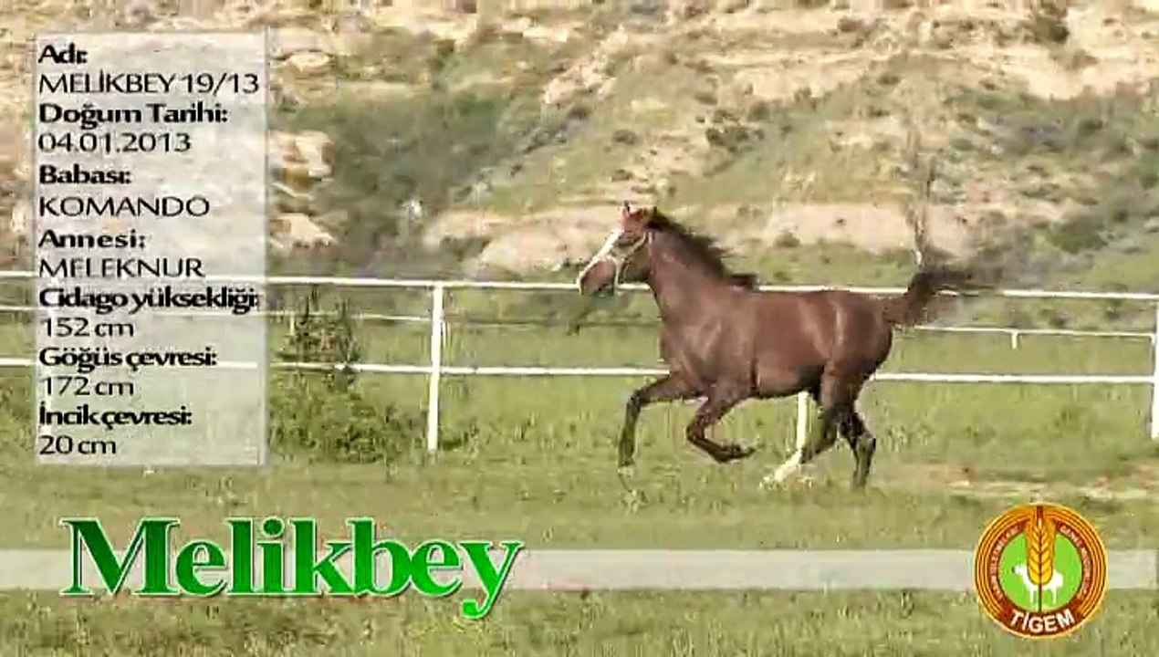 MELİKBEY