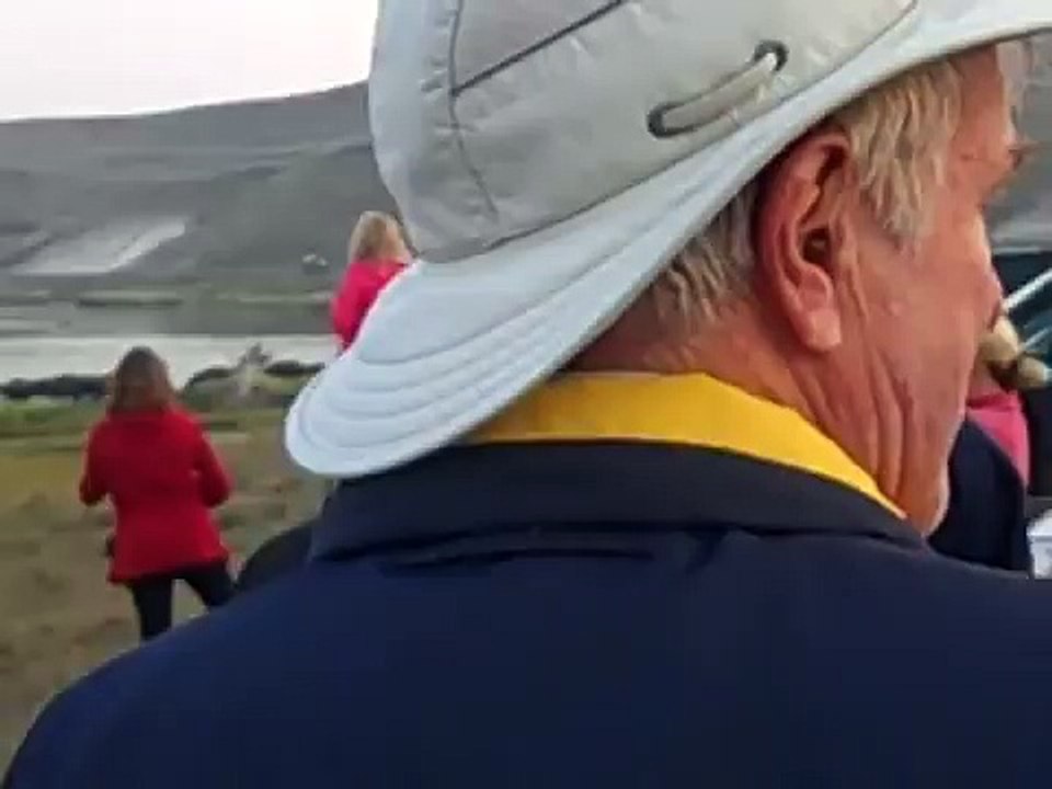 Bison Stampede After Wolf Attack in Yellowstone