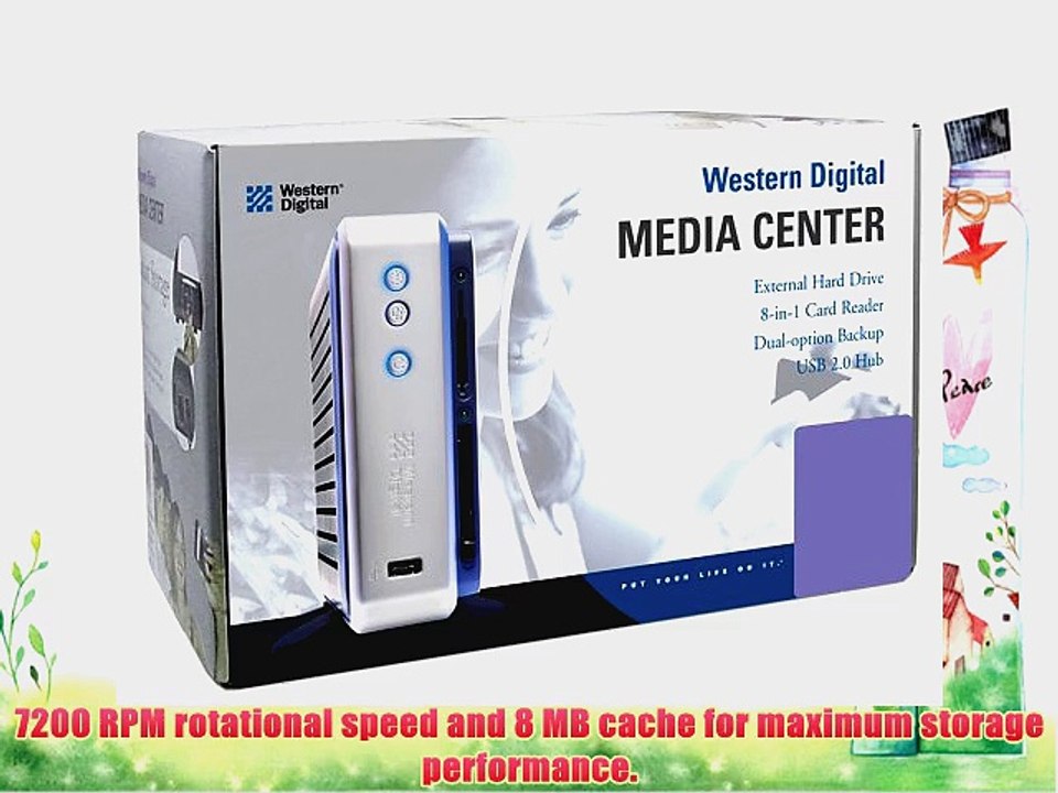 Western Digital 250 GB USB 2.0 and FireWire External Hard Drive (WDXF2500JBRNN)