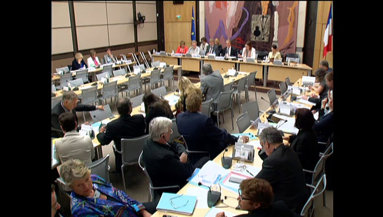 Intervention d'Hervé Féron en Commission : auditions sur l'avenir des droits d'auteurs dans l'Union Européenne