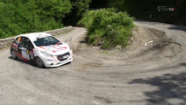 Les étrangers en force à Antibes en 208 Rally Cup