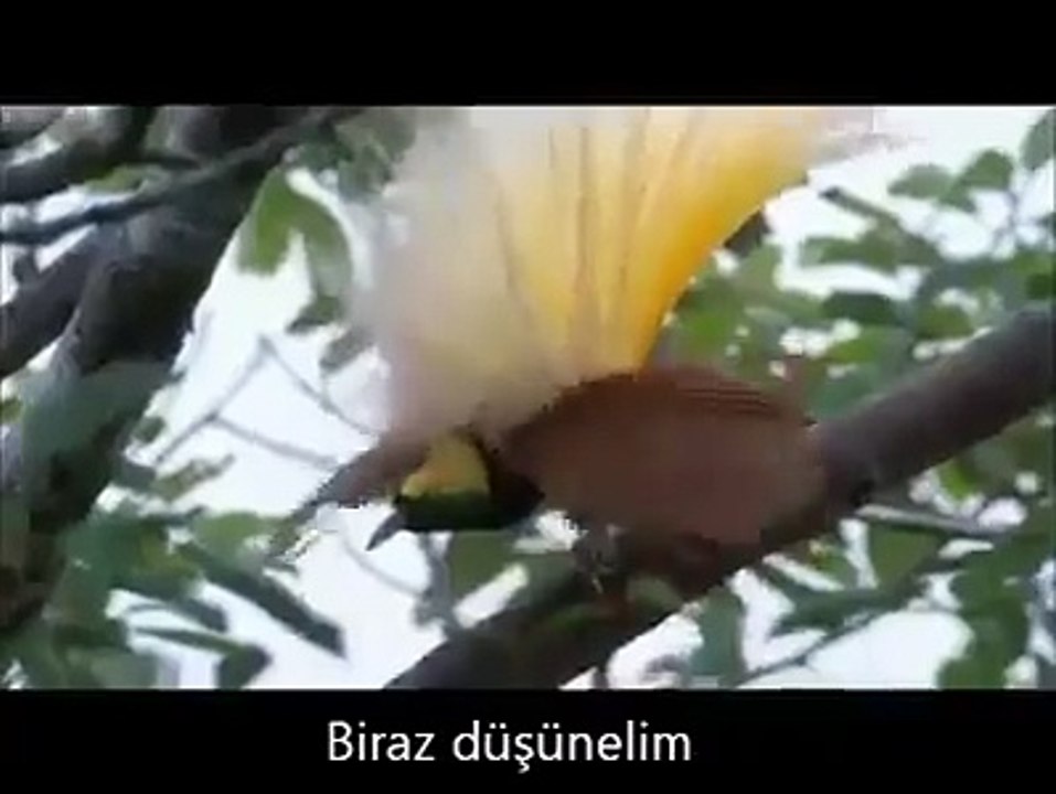 SubhanAllah...Daha önce böyle bir güzellik gördünüz mü?| http://bit.ly/Lailaheillallah