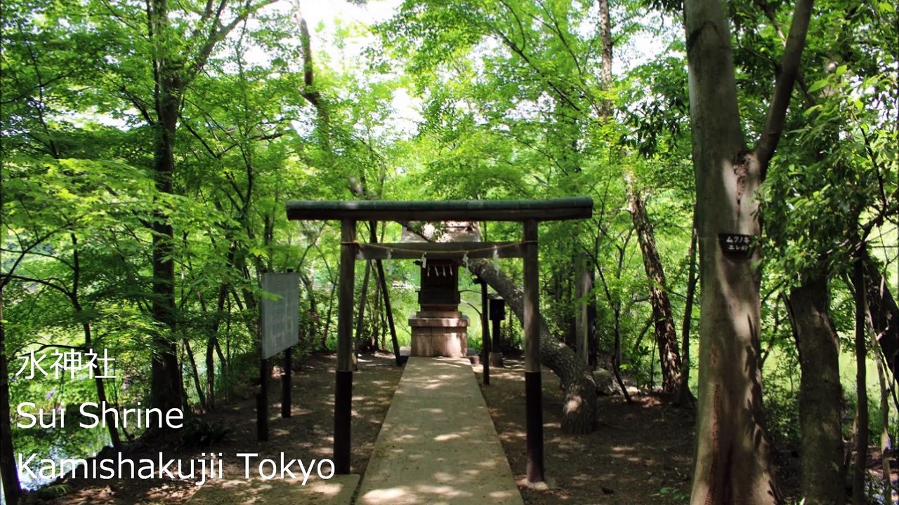 水神社 上石神井 东京/ Sui Shrine Kamishakujii Tokyo/물 신사 도쿄