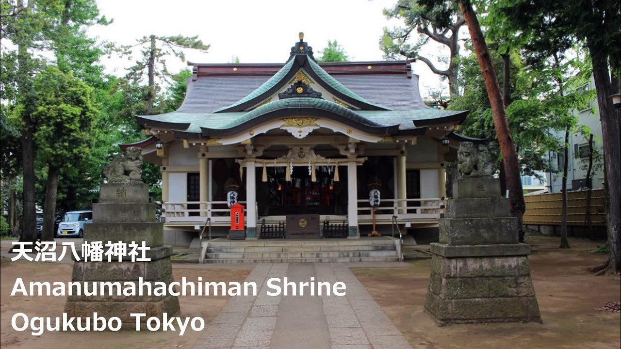 天沼八幡神社 荻窪 东京/Amanumahachiman Shrine Ogikubo Tokyo /아마 누마 하치만 신사 오기 쿠보 도쿄