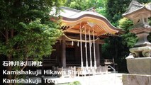 石神井氷川神社 上石神井 东京/ Shakujii Hikawa Shrine Kamishakujii Tokyo/도쿄
