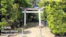 浅間神社 上石神井 东京/ Sengen Shrine Kamishakujii Tokyo/센겐 신사 도쿄