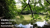 宇賀神社(穴弁天) 上石神井 东京/ Uga Shrine Kamishakujii Tokyo/ 우카 신사 (구멍 벤텐) 도쿄