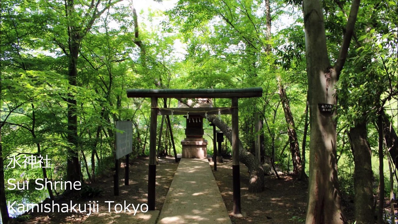 水神社 上石神井 东京/ Sui Shrine Kamishakujii Tokyo/물 신사 도쿄