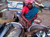 Fish Sellers at Vizhinjam Fishing Harbour, Kerala, India