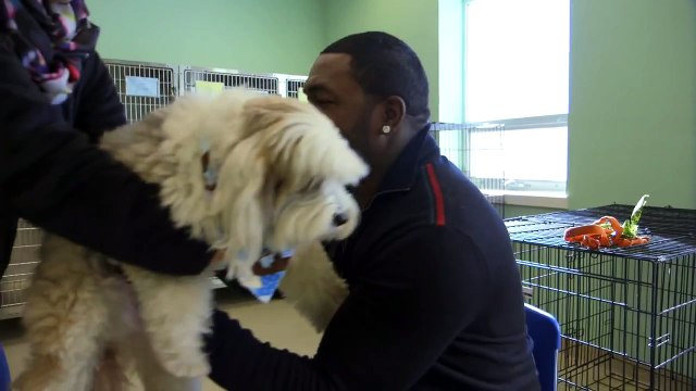 Pedigree | A Home Run for Dogs: A David Ortiz Story (Short version)