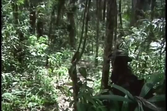 US Navy SEALs | BUD/S Training Class 224