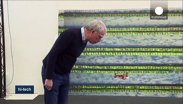 Как летают пчелы?