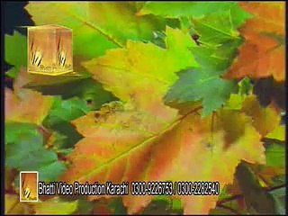 Psalm Karo Rub De Hun Wadai