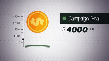 After Effects Project Files - Crowdfunding Campaign - VideoHive 8867366