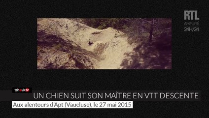 Un chien parvient à suivre son maître en VTT descente