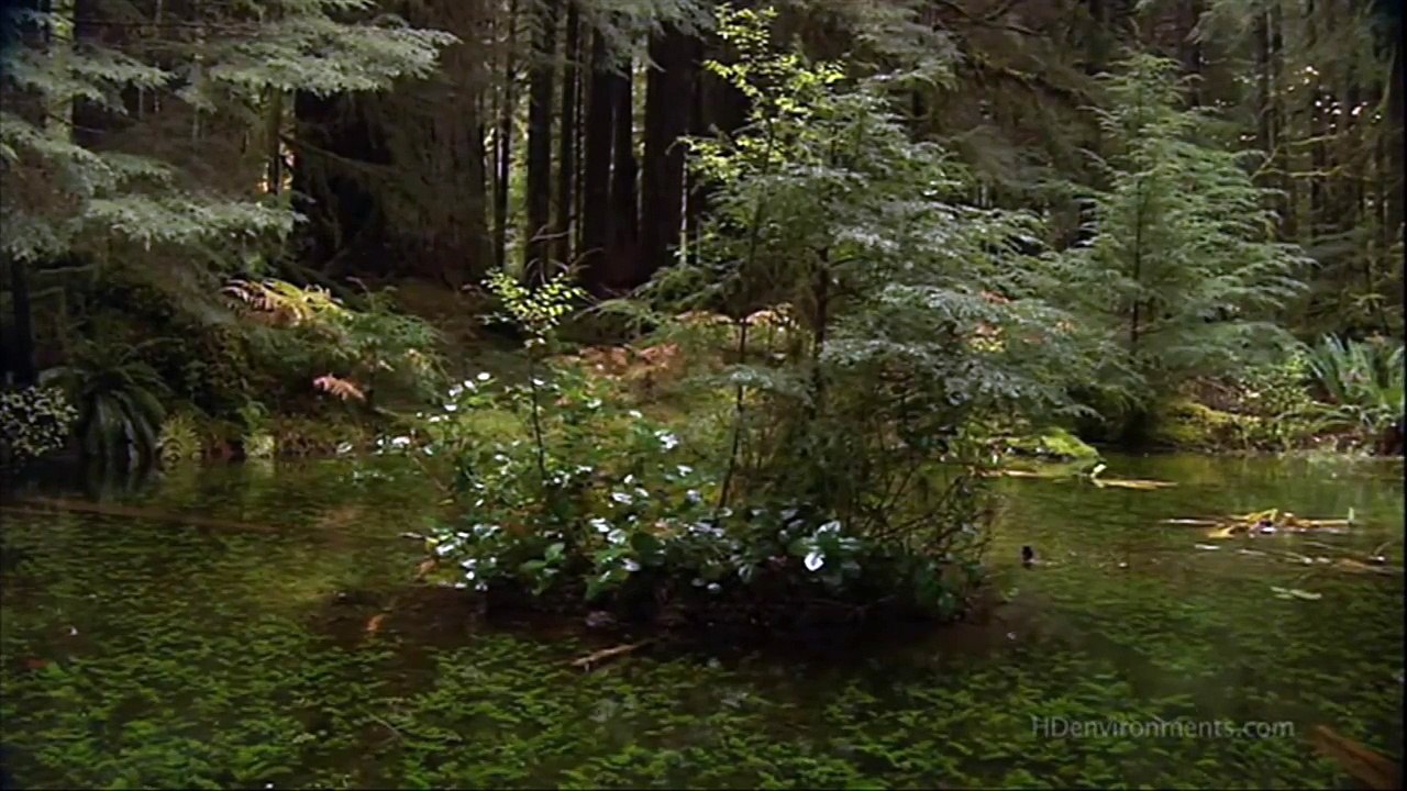 Armin van Buuren and Jan Vayne - Serenity (Orchestral Version)