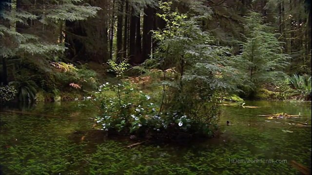 Armin van Buuren and Jan Vayne - Serenity (Orchestral Version)