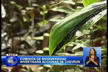 Comisión de biodiversidad investigará accionar de Chevron