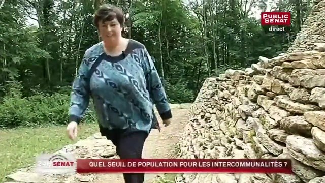 Quel seuil de population pour les intercommunalités ?