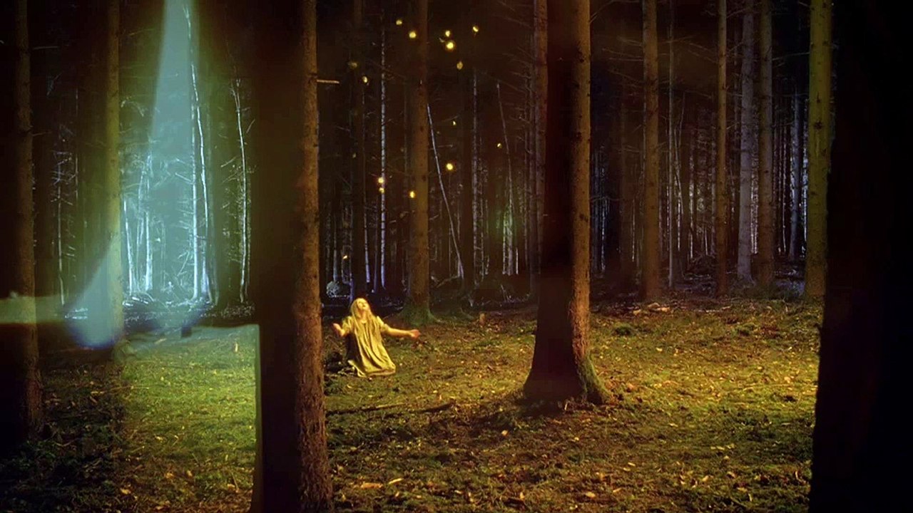 La Estrella del Dinero