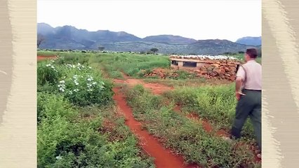 Ngulia Rhino Sanctuary, Tsavo West N.P. Kenya