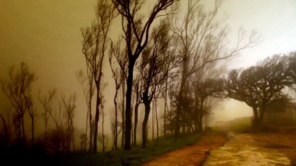 Mystic Landscapes