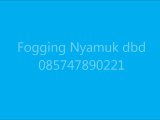 Fogging nyamuk dbd bekasi 085747890221