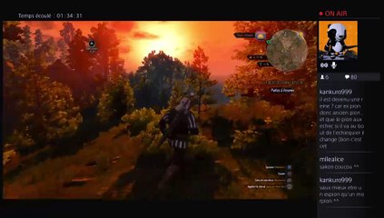 2015-05-31 Live The Witcher III part 4