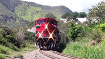 Ferromex y Ferrosur: Varios Trenes en Tuxpan Jalisco, Distrito Sayula 