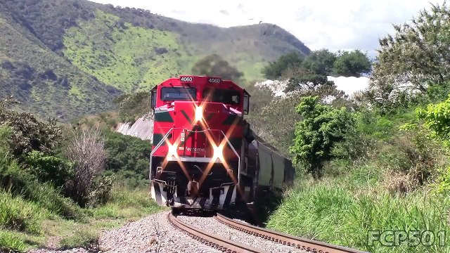Ferromex y Ferrosur: Varios Trenes en Tuxpan Jalisco, Distrito Sayula I