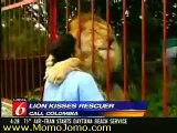 Huge Lion Hugs Rescuer