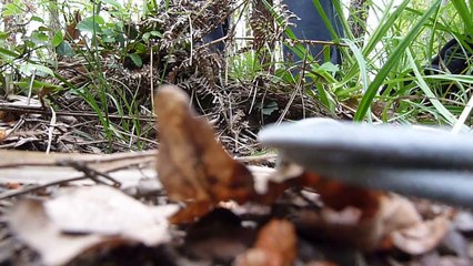 Vers le bout du monde - troisième jour