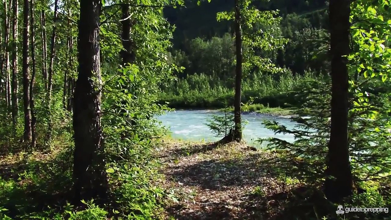 How To Survive In The Wilderness (Wilderness Survival Tips)