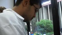 Sacrifício de ratos Wistar com uso de guilhotina