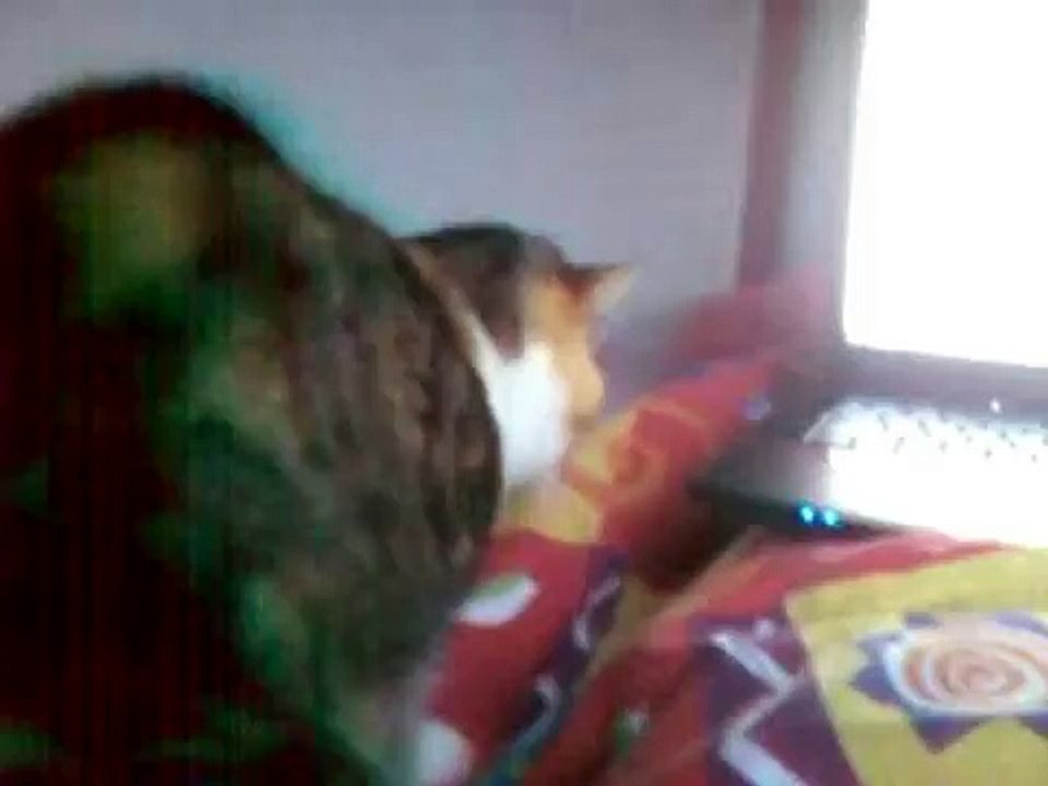 Frits is vandaag een beetje jarig!